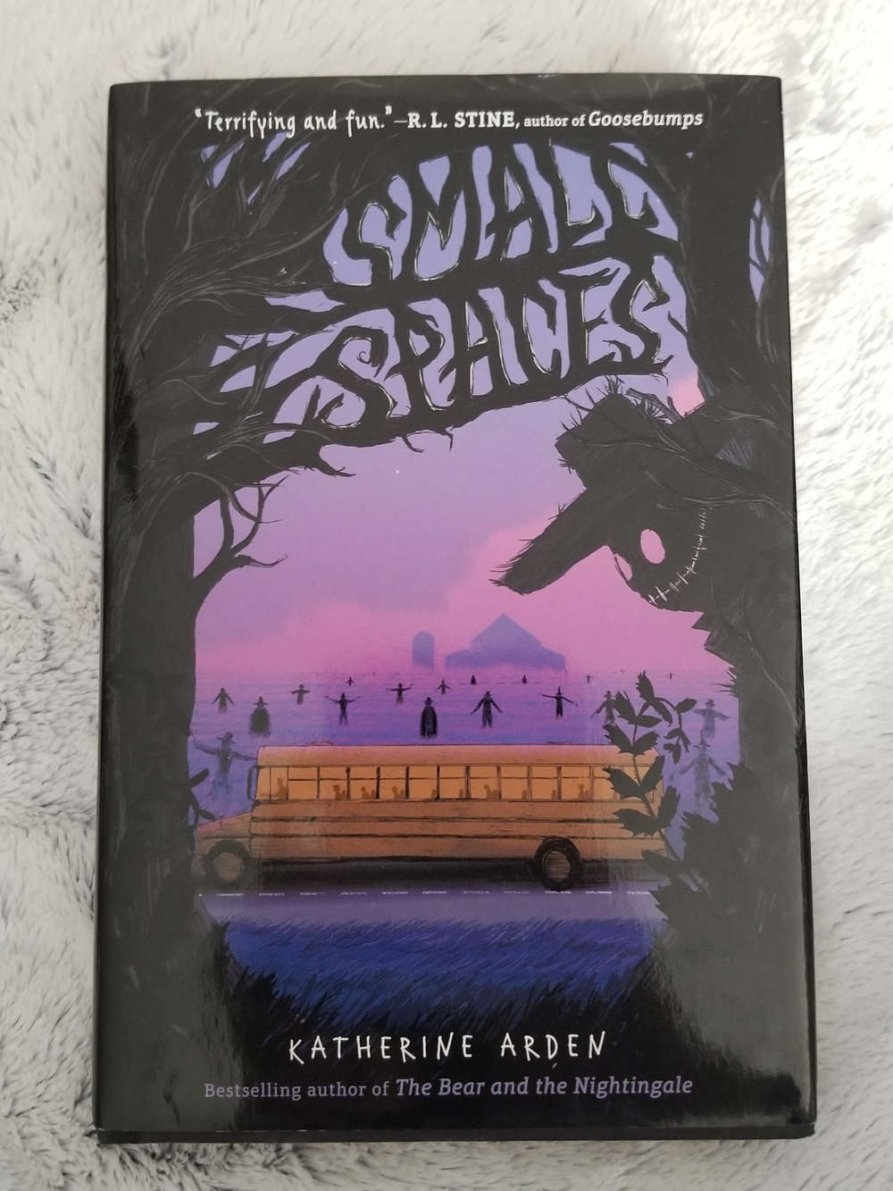 Small Spaces by Katherine Arden - Purple & Black Cover